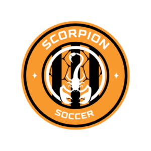 Picture of Soccer Scorpion